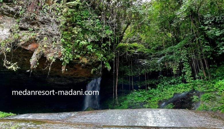Jelajahi Wisata Alam Pakkat